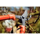 Ver imagem 5 de Tesourão de Poda Tipo Bypass Tramontina em Aço com Cabo de Madeira 60 Cm Tramontina