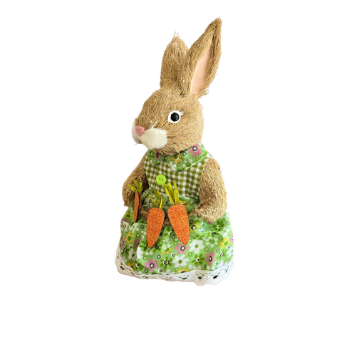 Coelha Páscoa Sisal - Vestido Floras Cenouras