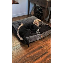Cama Cave GG 80x80:Cinza com preto quadrada - 4