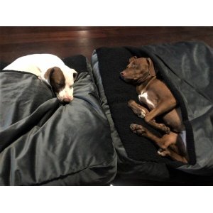 Cama Cave GG 80x80:Cinza com preto quadrada