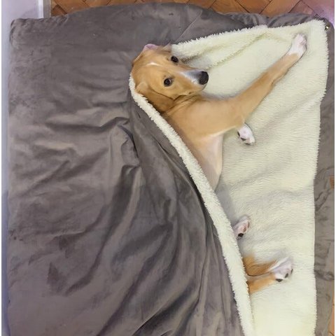 Cama Cave GG 80x80:Avelã com marfim quadrada