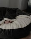 Ver imagem 3 de Cama Cavem 60x60:Cinza com Marfim Redonda
