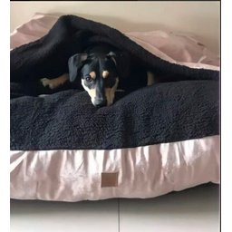 Cama Cave M 60x60:Rose gold com preto quadrada - 1