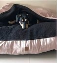 Ver imagem 1 de Cama Cave M 60x60:Rose gold com preto quadrada