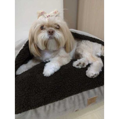 Cama Cave M 60x60:Avelã com preto quadrada