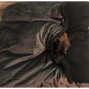 Ver imagem 5 de Cama Cave M 60x60:Cinza com preto quadrada