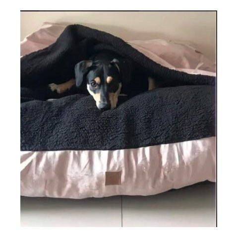 Cama Cave G 70x70:Rose gold com preto quadrada