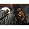 Cama Cave G 70x70:Cinza com preto quadrada - 1