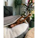 Ver imagem 7 de Cama Cave G 70x70:Avelã com marfim redonda