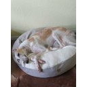 Ver imagem 6 de Cama Cave G 70x70:Avelã com marfim redonda