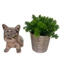Ver imagem 4 de Conjunto decorativo bulldog cerâmico rose e vaso com planta