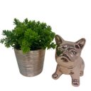 Ver imagem 2 de Conjunto decorativo bulldog cerâmico rose e vaso com planta