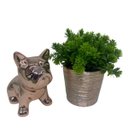Ver imagem 5 de Conjunto decorativo bulldog cerâmico rose e vaso com planta