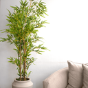 Ver imagem 4 de Árvore de Bambu Artificial com Vaso Thai Branco Mármore | Formosinha