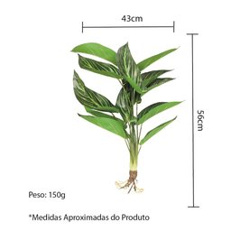 Planta Folhas Maranta Riscada Real Toque 56cm com Raiz - 3