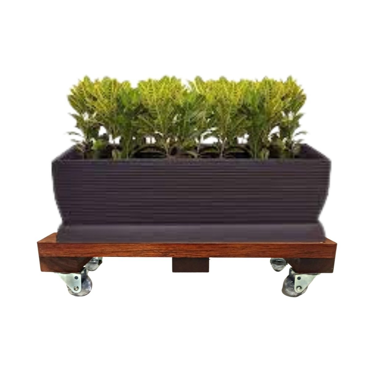 Suporte para Vaso de Planta Jardineira 20x40cm com Rodinhas Cristal - 6