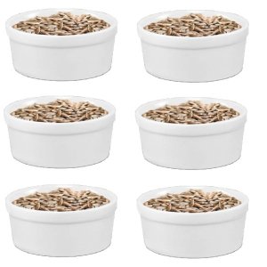 Kit 6 Comedouros de Porcelana para Passarinho/Cacatua/Aves 650ml