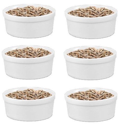 Kit 6 Comedouros de Porcelana para Passarinho/Cacatua/Aves 650ml