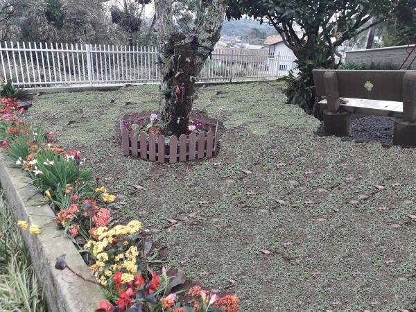 Kit 10 Metros Cerca Decorativa Jardim 50X40Cm Colonial P - 8