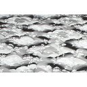 Ver imagem 2 de Colchão Casal Espuma D33 Supreme Pró Saúde Black (138x188x20) - Luckspuma