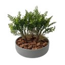 Ver imagem 7 de Kit 10 Mini Samambaia Artificial 35cm Folhagem Permanente para Vasos, Painéis e Decoração