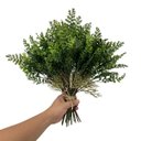 Ver imagem 1 de Kit 10 Mini Samambaia Artificial 35cm Folhagem Permanente para Vasos, Painéis e Decoração