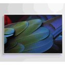 Ver imagem 4 de Quadro Penas Verdes 90x60 Cm Tecido Canvas