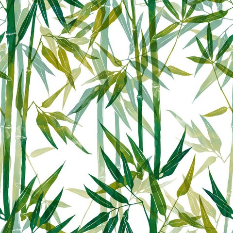 Papel de Parede Decorativo Temático Bambus Tons Verdes 3,0m