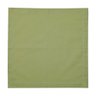 Cj 2 Guardanapos de Algodão Verde Claro 40x40cm Royal Decor - 2