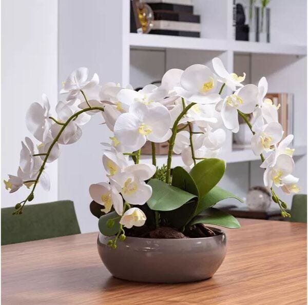 Arranjo 4 Orquídea Artificial Branca Com Vaso Bacia Fendi - 1