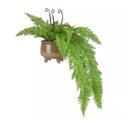 Ver imagem 2 de Arranjo Samambaia Artificial Em Vaso Com Pés Fendi