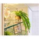 Ver imagem 3 de Arranjo Samambaia Artificial Em Vaso Com Pés Fendi