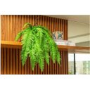 Ver imagem 1 de Arranjo Samambaia Artificial Em Vaso Com Pés Fendi