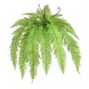 Ver imagem 4 de Arranjo Samambaia Artificial Em Vaso Com Pés Fendi