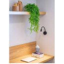 Ver imagem 3 de Arranjo Chifre-de-Veado Artificial Com Vaso Bacia Branco