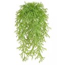 Ver imagem 4 de Arranjo Chifre-de-Veado Artificial Com Vaso Bacia Branco