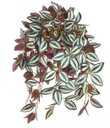 Ver imagem 3 de Arranjo Lambari Artificial Com Vaso Pote Verde
