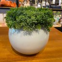Ver imagem 3 de Arranjo Completo Centro de Mesa Verdinho Artificial Vaso Branco Decore Fácil Shop