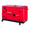 Ver imagem 1 de Gerador À Diesel Branco Bd-12000 Es 110/220v