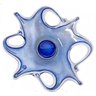 Fruteira Vidro Murano Azul Centro De Mesa Vidro 38Cm - 3