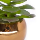 Ver imagem 3 de Vaso Decorativo Dourado com Suculenta Artificial Sedum Hirsutum 12x8 cm F04 - D’Rossi Vaso co