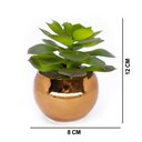 Ver imagem 5 de Vaso Decorativo Dourado com Suculenta Artificial Sedum Hirsutum 12x8 cm F04 - D’Rossi Vaso co