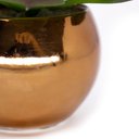 Ver imagem 4 de Vaso Decorativo Dourado com Suculenta Artificial Sedum Hirsutum 12x8 cm F04 - D’Rossi Vaso co