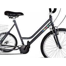 Triciclo Aro 26 Chumbo/Branco - Montagem Super - 2