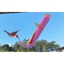 Ver imagem 1 de Kit 03 Bebedouros Vidro Para Beija Flor E Pássaros Ar Livre