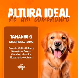 Comedouro Elevado Individual Cão Porte G Branco - 4