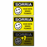 Combo 10 Placas De Sinalização Sorria Você Está Sendo Filmado 20x15 Acesso - P-25 F9e - 1