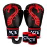 Kit Treino Boxe Dragon Acte Sports Vermelho(P4-10/P7-P/P8-V) - 1