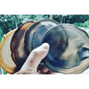 Ver imagem 2 de Kit com 4 Porta Copos De Ágatas Naturais 10 a 14cm
