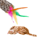 Ver imagem 1 de Brinquedo Varinha com Penas para Gato: Marrom